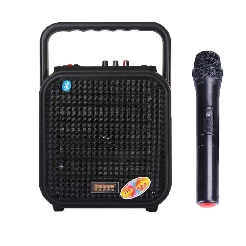 Loa karaoke mini Temeisheng A6-4